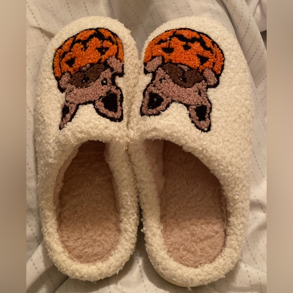 Pumpkin Slippers with Cute Animal Design